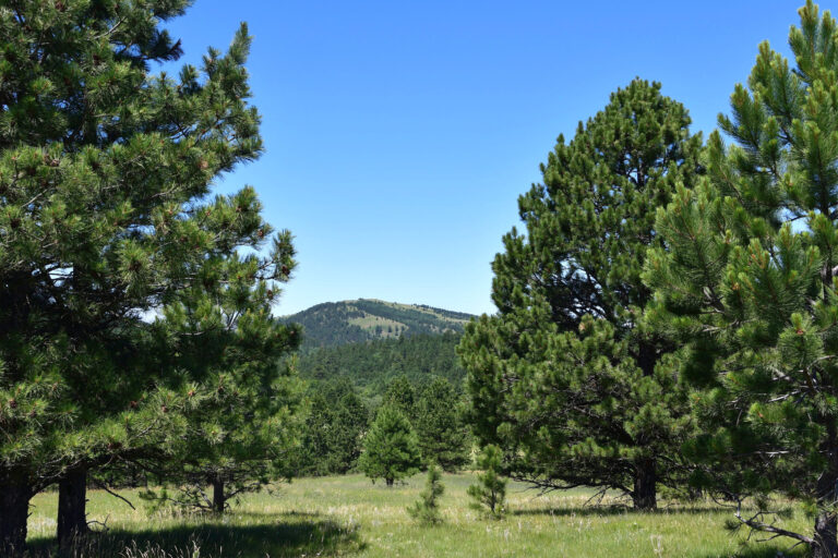 Spearfish Mountain Ranch Downhill Nature Photo