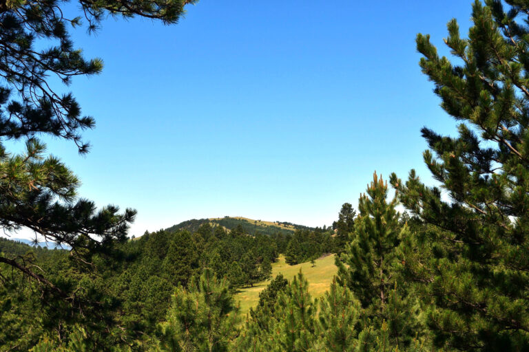 Spearfish Mountain Ranch Nature Photo